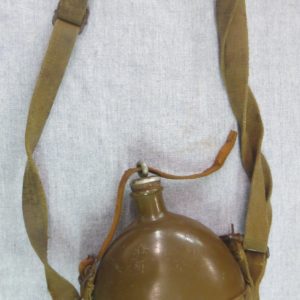 Water carrier with straps