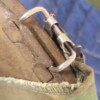 US Army combat helmet used in Viet Nam, mid-1960s - Image 6