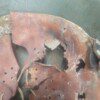 German WWII Heer (Army) Infantry helmet, M42, KIA battle damaged! - Image 5