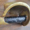 Civil War M1860 Ames Navy Cutlass with rare scabbard, ALABAMA find! - Image 4